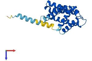 AlphaFold protein structure predicition of Mouse Recombinant Tnfaip8l1 Protein, UniprotID Q8K288