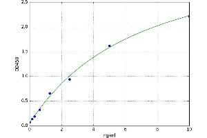 Aryl Hydrocarbon Receptor Nuclear Translocator 2 (ARNT2) ELISA Kit