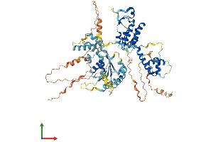 AlphaFold protein structure predicition of Mouse Recombinant Rad17 Protein, UniprotID Q6NXW6 (RAD17 Protein (RAD17) (AA 1-688) (His tag))