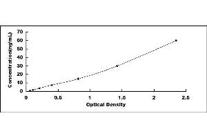 Typical standard curve (IGFBP2 ELISA 试剂盒)