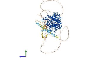 Protein Structure (PS) image for SFRS Protein Kinase 2 (SRPK2) (AA 1-688) protein (His tag) (ABIN7555628)
