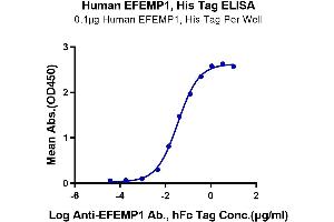 Fibulin 3 (FBLN3) (AA 18-493) protein (His tag)