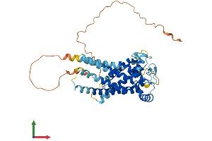 Protein Structure (PS) image for Solute Carrier Family 25, Member 46 (SLC25A46) (AA 1-418) protein (His tag) (ABIN7551679)