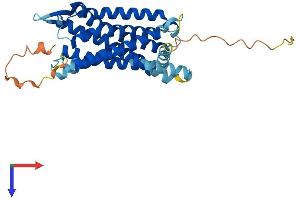 Galanin Receptor 1 (GALR1) (AA 1-348) protein (His tag)