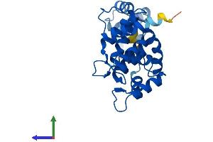 AlphaFold protein structure predicition of Human Recombinant DCUN1D1 Protein, UniprotID Q96GG9