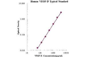 ELISA image for C-Fos Induced Growth Factor (Vascular Endothelial Growth Factor D) (Figf) ELISA Kit (ABIN3198494)