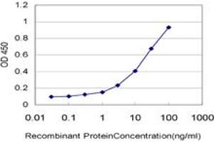 Detection limit for recombinant GST tagged LDB1 is approximately 0. (LIM Domain Binding 1 Protein 抗体  (AA 1-110))