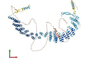 Protein Structure (PS) image for Crooked Neck Pre-mRNA Splicing Factor-Like 1 (CRNKL1) (AA 1-848) protein (His tag) (ABIN7546803)