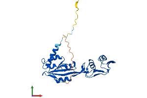 Protein Structure (PS) image for mRNA Turnover 4 Homolog (MRTO4) (AA 1-239) protein (His tag) (ABIN7560836)