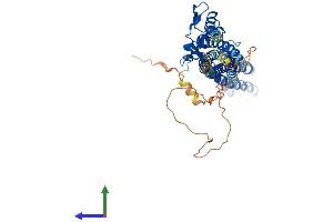 Protein Structure (PS) image for Tweety Homolog 3 (TTYH3) (AA 1-523) protein (His tag) (ABIN7544765)