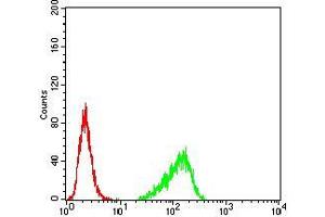 Flow cytometric analysis of Hela cells using RND3 mouse mAb (green) and negative control (red). (RND3 抗体  (AA 104-241))