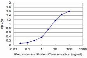 Detection limit for recombinant GST tagged HDAC9 is approximately 0. (HDAC9 抗体  (AA 481-570))