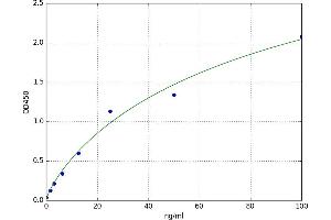 A typical standard curve