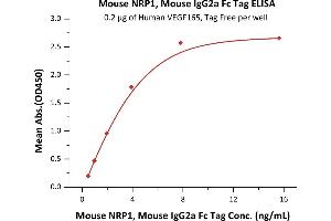 ELISA image for Neuropilin 1 (NRP1) (AA 22-856) (Active) protein (Fc Tag) (ABIN5954940)