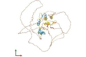AlphaFold protein structure predicition of Mouse Recombinant Ikzf4 Protein, UniprotID Q8C208 (IKZF4 Protein (AA 1-586) (His tag))