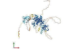 AlphaFold protein structure predicition of Human Recombinant ARAF Protein, UniprotID P10398