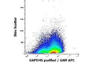 Flow cytometry intracellular staining pattern of human sperm cells stained using anti-GAPDHS (Hs-8) purified antibody (concentration in sample 7.