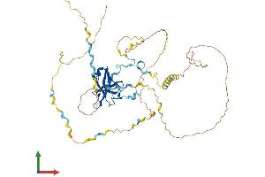 AlphaFold protein structure predicition of Mouse Recombinant Naf1 Protein, UniprotID Q3UMQ8