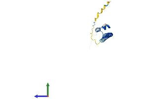 AlphaFold protein structure predicition of Mouse Recombinant Maff Protein, UniprotID O54791