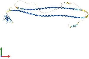 Protein Structure (PS) image for Calcium Binding and Coiled-Coil Domain 1 (CALCOCO1) (AA 1-691) protein (His tag) (ABIN7564575)