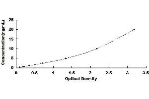 Typical standard curve (LAIR1 ELISA 试剂盒)