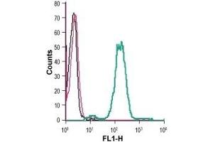 Cell surface detection of GPR4 in live intact human THP-1 monocytic leukemia cells: (black line) Cells. (GPR4 抗体  (Extracellular))