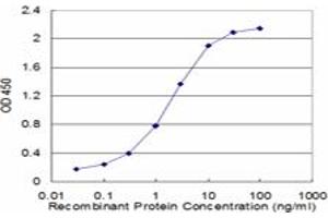 Detection limit for recombinant GST tagged FAS is approximately 0. (FAS 抗体  (AA 20-119))