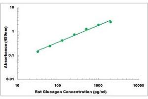 Representative Standard Curve (Glucagon ELISA 试剂盒)