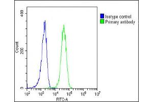 Overlay histogram showing K562 cells stained with C(green line). (EPOR 抗体  (C-Term))