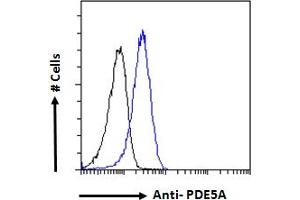 Flow Cytometry (FACS) image for anti-GA-Binding Protein Subunit beta-2 (GABPB2) (Internal Region) antibody (ABIN190778)