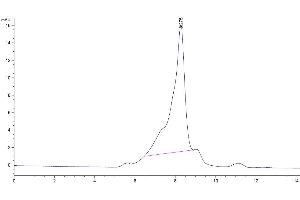 The purity of Cynomolgus CD3E Protein is greater than 95 % as determined by SEC-HPLC. (CD3 epsilon Protein (CD3E) (Fc Tag))