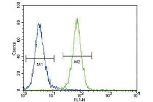 DDR1 antibody flow cytometric analysis of 293 cells (right histogram) compared to a negative control (left histogram).
