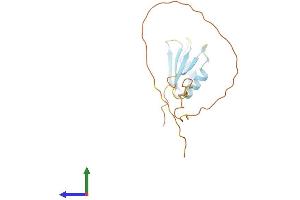 Protein Structure (PS) image for serine/arginine-Rich Splicing Factor 3 (SRSF3) (AA 1-164) protein (His tag) (ABIN7546464)