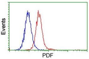 Image no. 3 for anti-Growth Differentiation Factor 15 (GDF15) antibody (ABIN1500100)