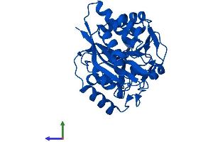 Protein Structure (PS) image for Mediator of Cell Motility 1 (MEMO1) (AA 1-297) protein (His tag) (ABIN7549364)