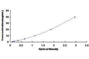 Polymeric Immunoglobulin Receptor (PIGR) ELISA Kit