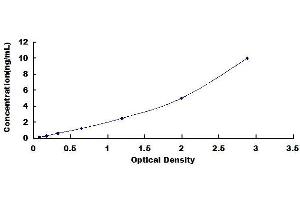 Typical standard curve (BDKRB2 ELISA 试剂盒)