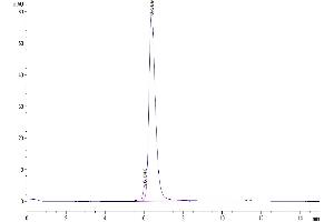 Size-exclusion chromatography-High Pressure Liquid Chromatography (SEC-HPLC) image for CD274 (PD-L1) (AA 19-238) protein (Fc Tag) (ABIN7275427)