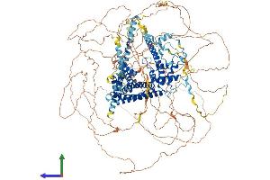 AlphaFold protein structure predicition of Human Recombinant FMN1 Protein, UniprotID Q68DA7