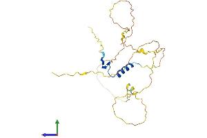 Protein Structure (PS) image for Vestigial Like 1 (VGLL1) (AA 1-258) protein (His tag) (ABIN7545098)