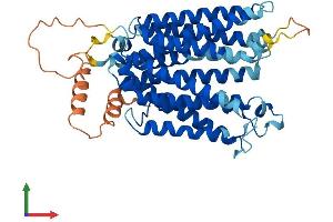 Protein Structure (PS) image for Solute Carrier Family 29 Member 3 (SLC29A3) (AA 1-475) protein (His tag) (ABIN7560452)