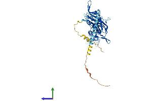 Protein Structure (PS) image for Potassium Inwardly-Rectifying Channel, Subfamily J, Member 8 (KCNJ8) (AA 1-424) protein (His tag) (ABIN7554357)