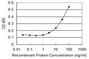 Detection limit for recombinant GST tagged ZNF18 is 1 ng/ml as a capture antibody. (ZNF18 抗体  (AA 282-380))