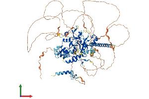 Protein Structure (PS) image for OTU Domain Containing 7A (OTUD7A) (AA 1-926) protein (His tag) (ABIN7559774)