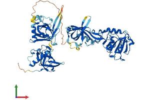 Protein Structure (PS) image for Protection of Telomeres 1 (POT1) (AA 1-634) protein (His tag) (ABIN7555016)