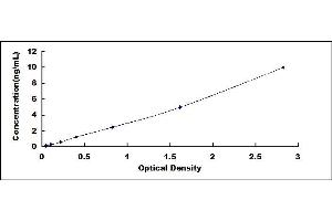Typical standard curve (SPON2 ELISA 试剂盒)