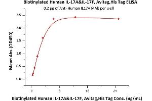 Immobilized A IL17A MAb at 2 μg/mL (100 μL/well) can bind Biotinylated Human IL-17A&IL-17F, Avitag,His Tag (ABIN6253197,ABIN6253524) with a linear range of 0. (IL-17A/F Protein (AA 24-155) (His tag,AVI tag,Biotin))