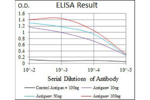 ELISA image for anti-BPI Fold Containing Family A, Member 2 (BPIFA2) antibody (ABIN1847198) (BPIFA2 抗体)