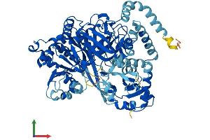 Protein Structure (PS) image for Acyl-CoA Synthetase Long-Chain Family Member 4 (ACSL4) (AA 1-711) protein (His tag) (ABIN7552001)