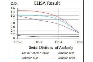 Black line: Control Antigen (100 ng), Purple line: Antigen(10 ng), Blue line: Antigen (50 ng), Red line: Antigen (100 ng), (LMO2 抗体  (AA 1-158))